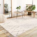 Load image into Gallery viewer, India Handmade Rug
